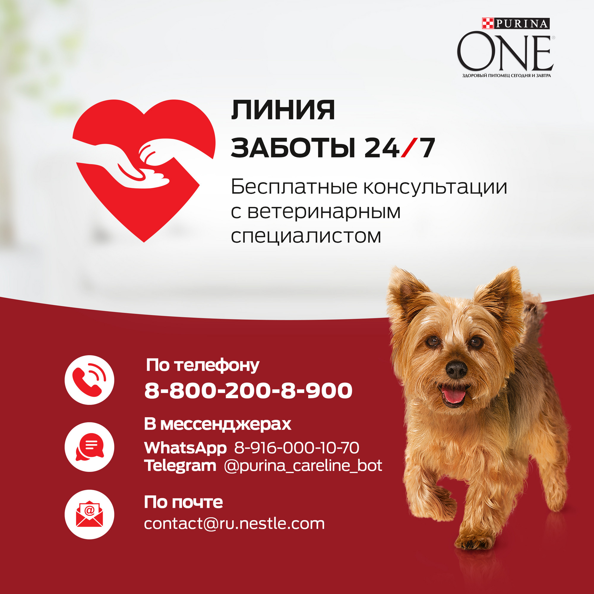 Купить влажный корм для собак Purina One Контроль веса , курица, рис, 85г,  цены на Мегамаркет | Артикул: 100027592445