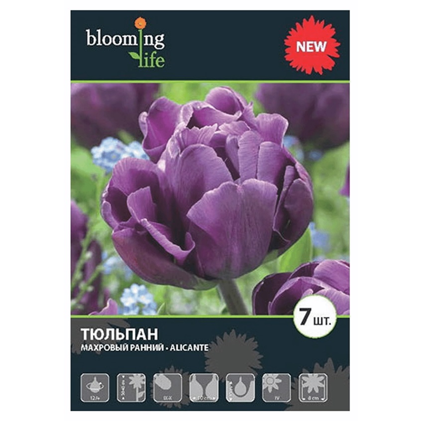 Тюльпан Аликанте 12/plus, 7 шт. по цене 333 ₽/шт. купить в Смоленске в интернет-