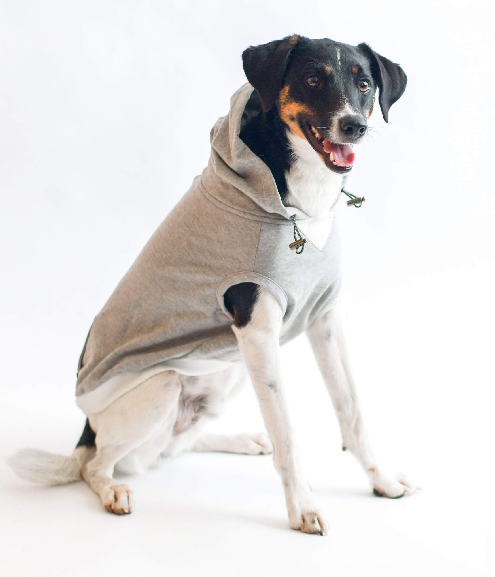 Толстовка для собак Dog gone Smart Relaxing hoodie 20 см, серый и оливковый