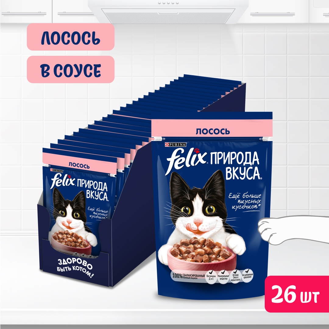 Купить корм влажный Felix Природа вкуса для кошек, с лососем, в соусе, 26x75 г, цены на Мегамаркет | Артикул: 100068529063