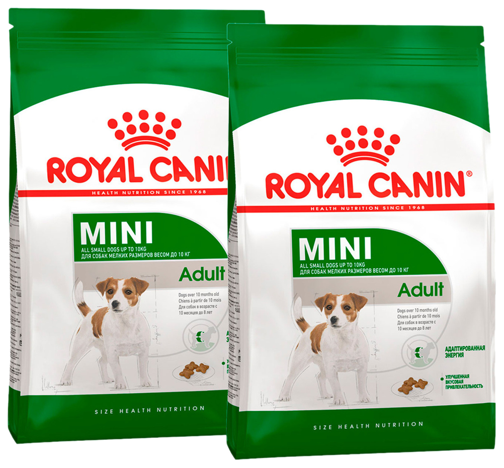 Купить сухой корм для собак Royal Canin Mini Adult, для маленьких пород, 2 шт по 0,8 кг, цены на Мегамаркет | Артикул: 100043196395