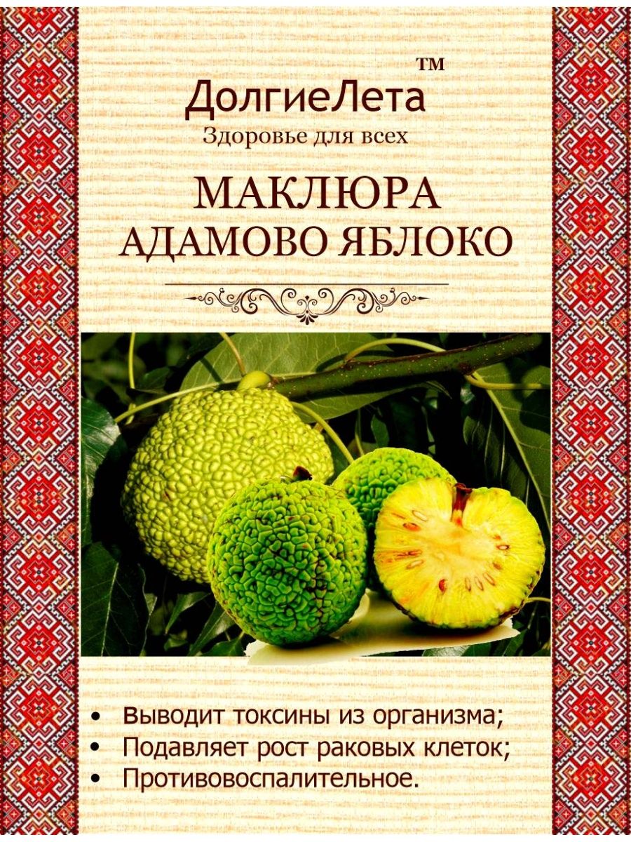 Адамово яблоко и Адамов корень. Лекарственные растения Сочи