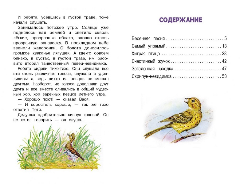 Сказки следопыта. Скребицкий сказки следопыта. рассказ следопыт. отзыв на рассказ следопыты.