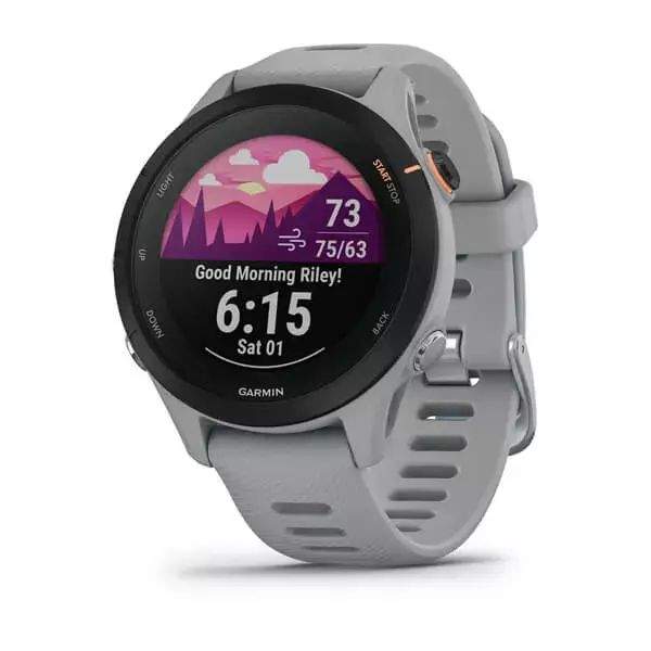 Смарт-часы Garmin Forerunner 255S Powder Gray (010-02641-12), купить в Москве, цены в интернет-магазинах на Мегамаркет