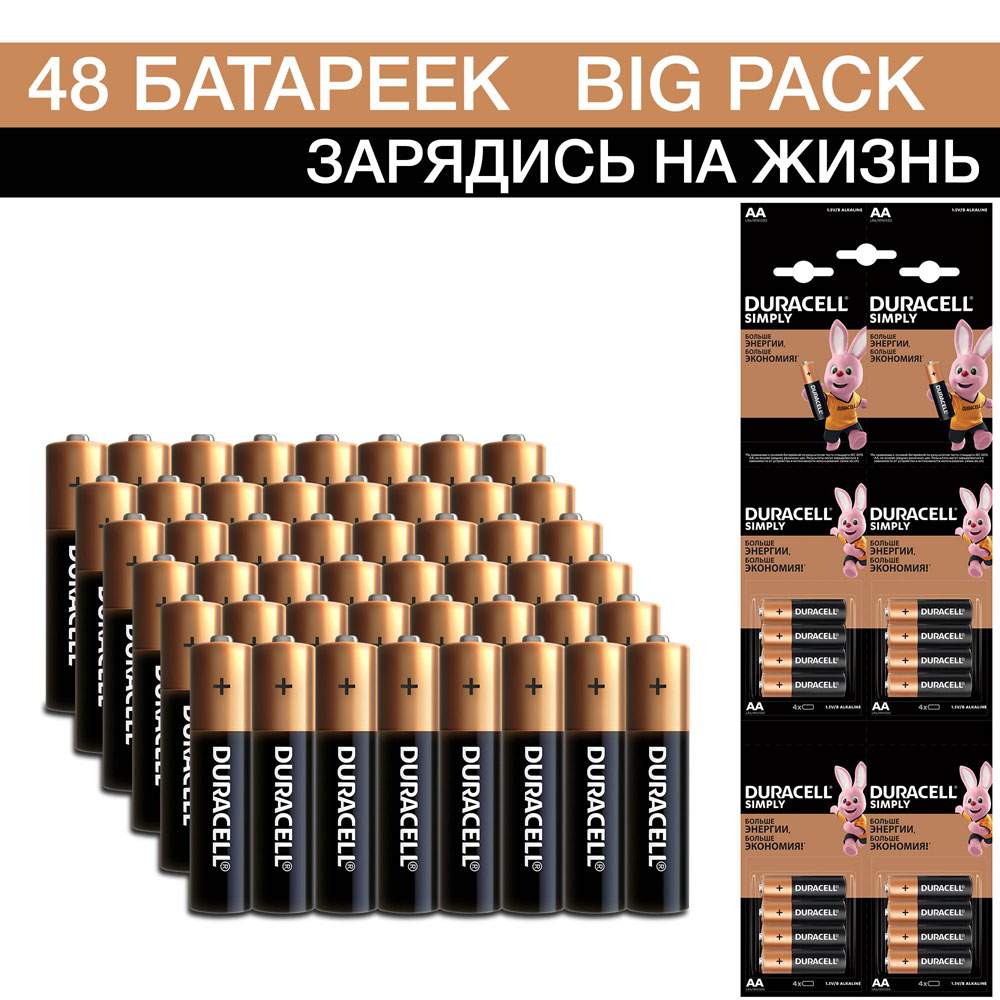 Батарейка Duracell AA (LR6) Big Pack (3*16), 48 шт - купить в Москве, цены на Мегамаркет | 600001936142