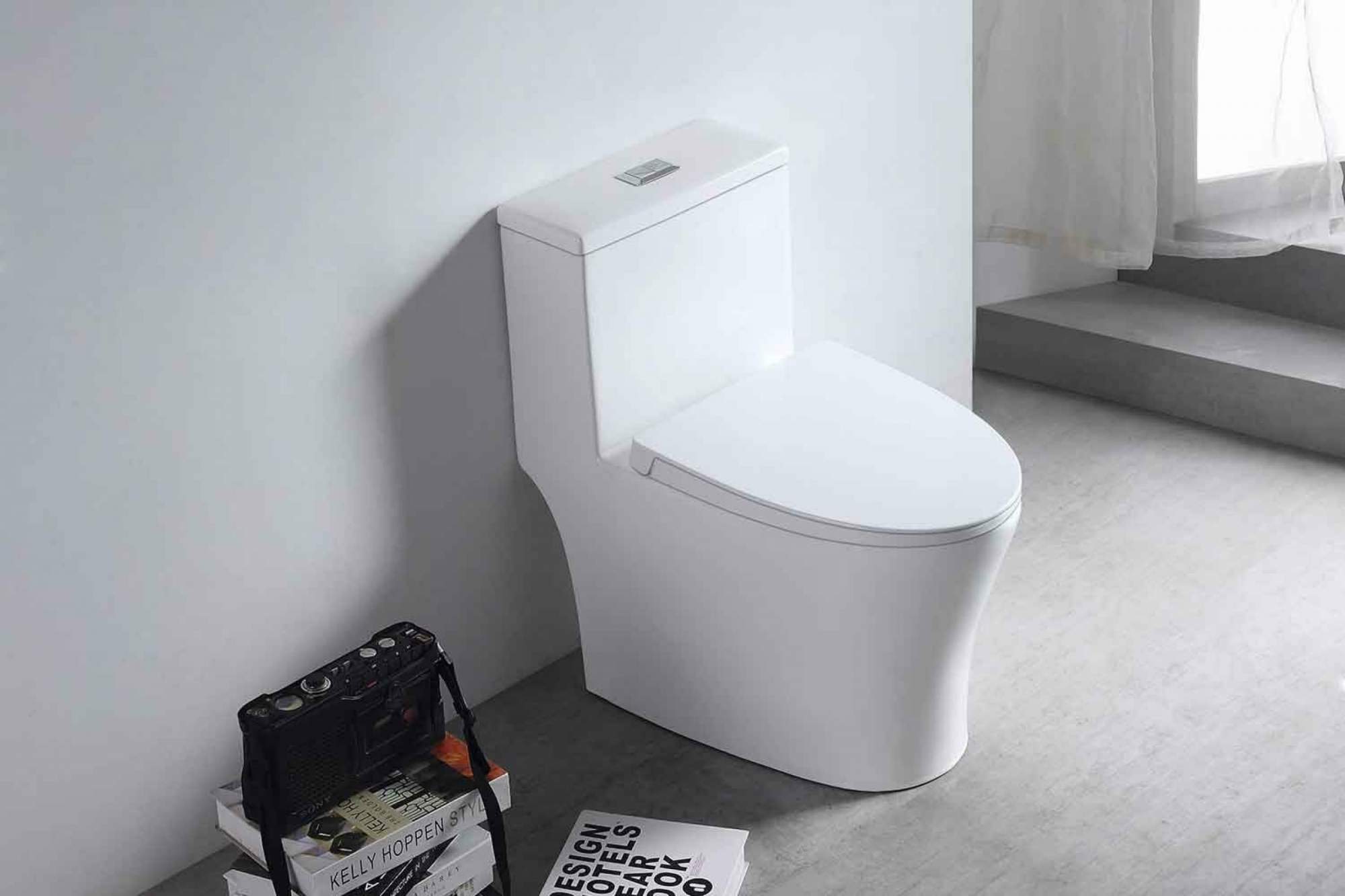 Унитаз-монолит EVA GOLD SM9609, безободковый, сиденье дюропласт, с ...