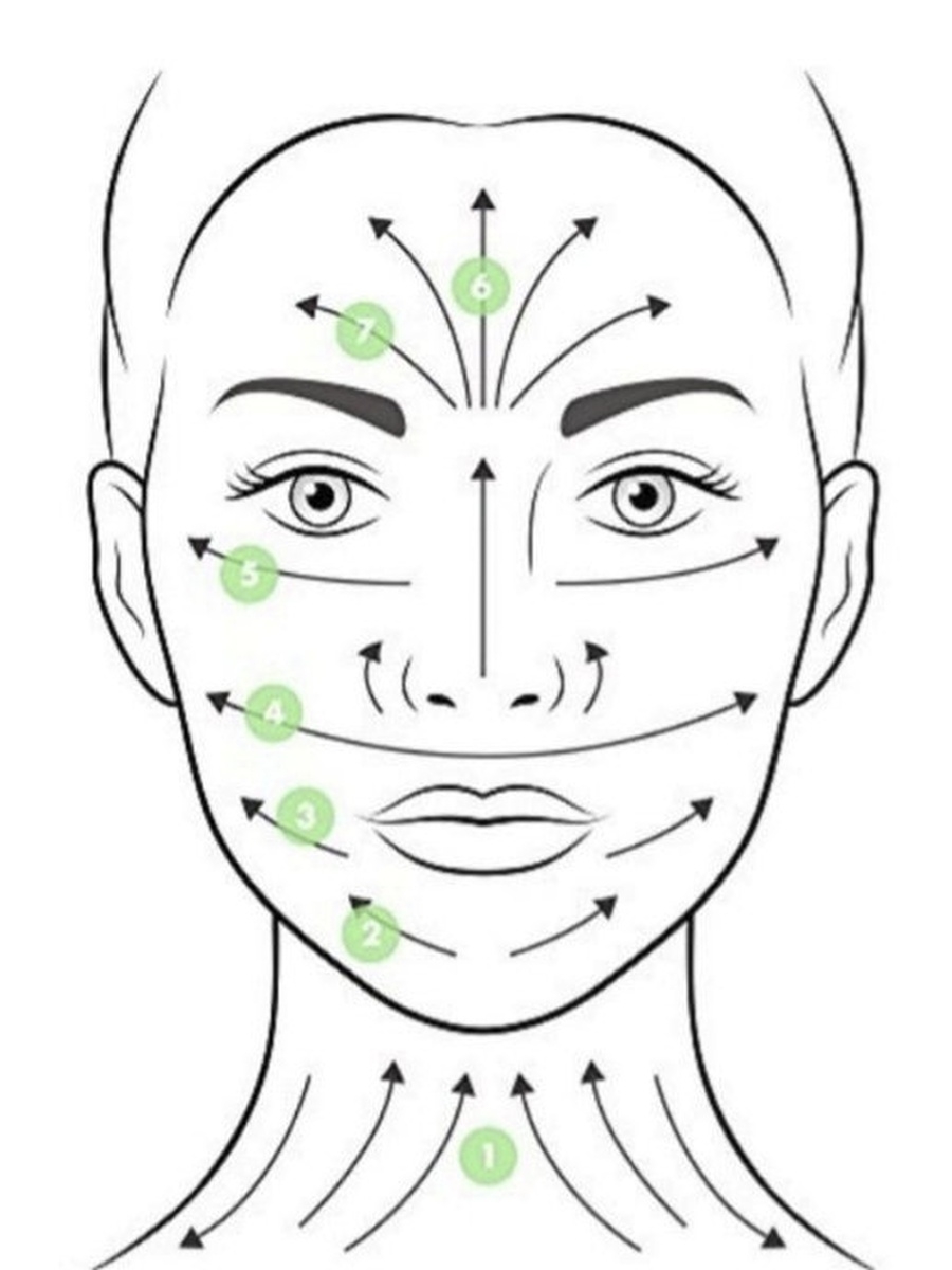 Схема лица и шеи. Скребок Гуаша массажные линии. Массажные линии для Гуаша и роллера. Массаж скребком Гуаша для лица техника. Массажные линии на лице и шее для массажа Гуаша.