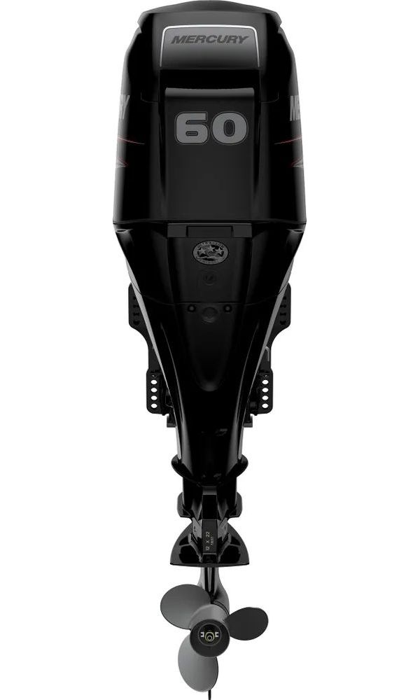 Mercury f20 efi. Mercury f10 e efi. Лодочный мотор меркури 10. Меркурий 10 л. Лодочный мотор mercury f20.