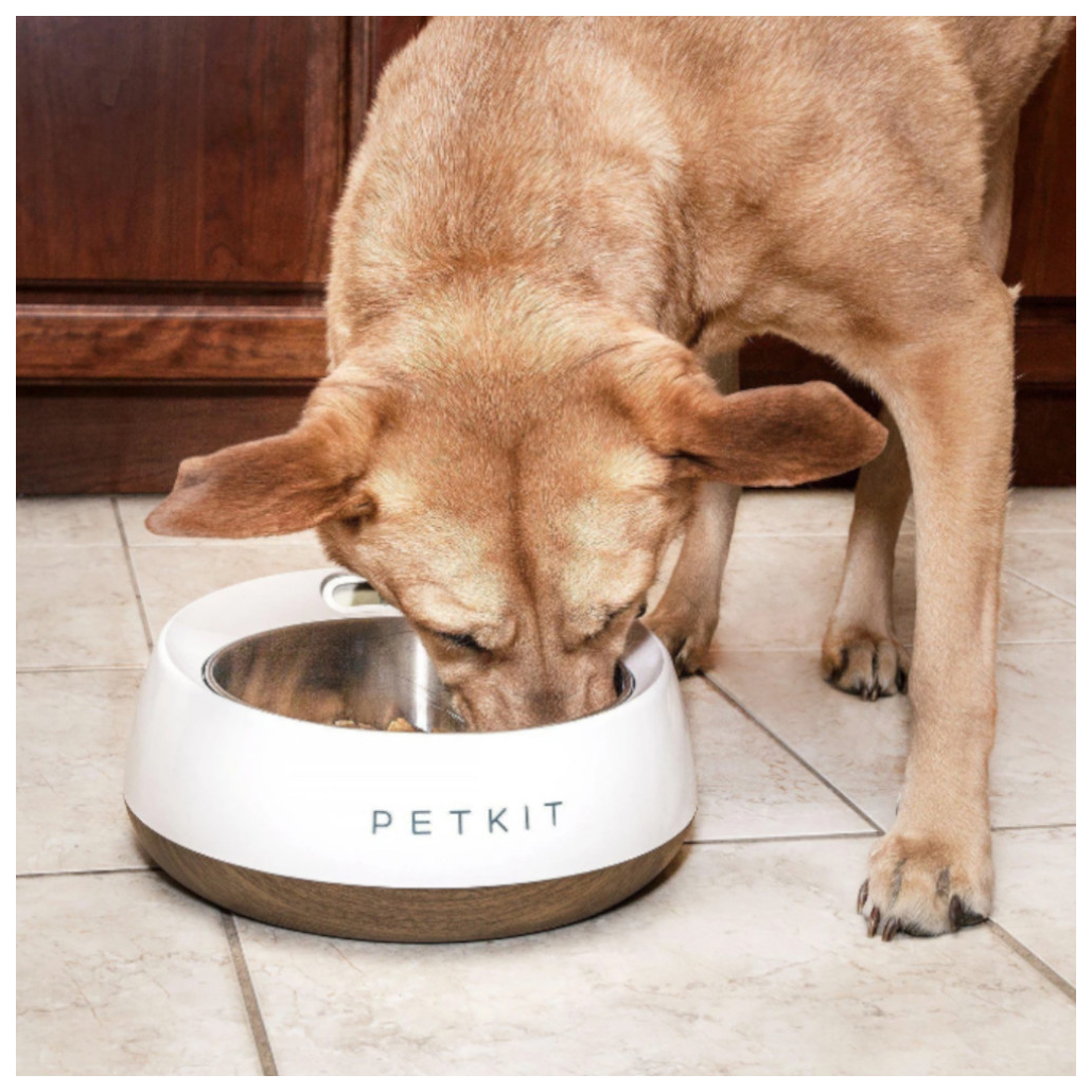 Миска для собак. Миска для собак. Тарелка для собак. Dog bowl. Корм для собак.