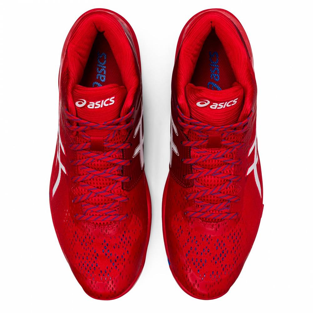 Кроссовки мужские Asics Sky Elite FF MT Retro Tokyo красные 14 US -  характеристики и описание на СберМегаМаркет