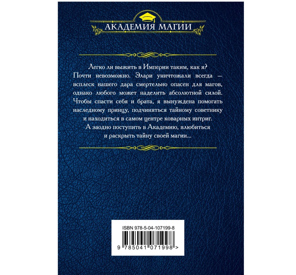 Книга магический универ. Книга академия без магии. Книга академия без магии. Книга академия без магии. Федотовская академия магии трех королевств.