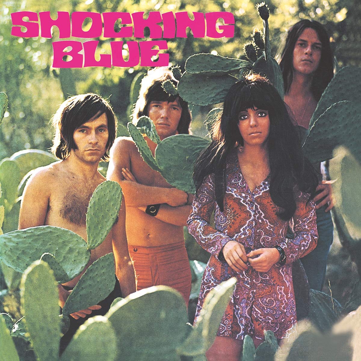 Shocking blue фото