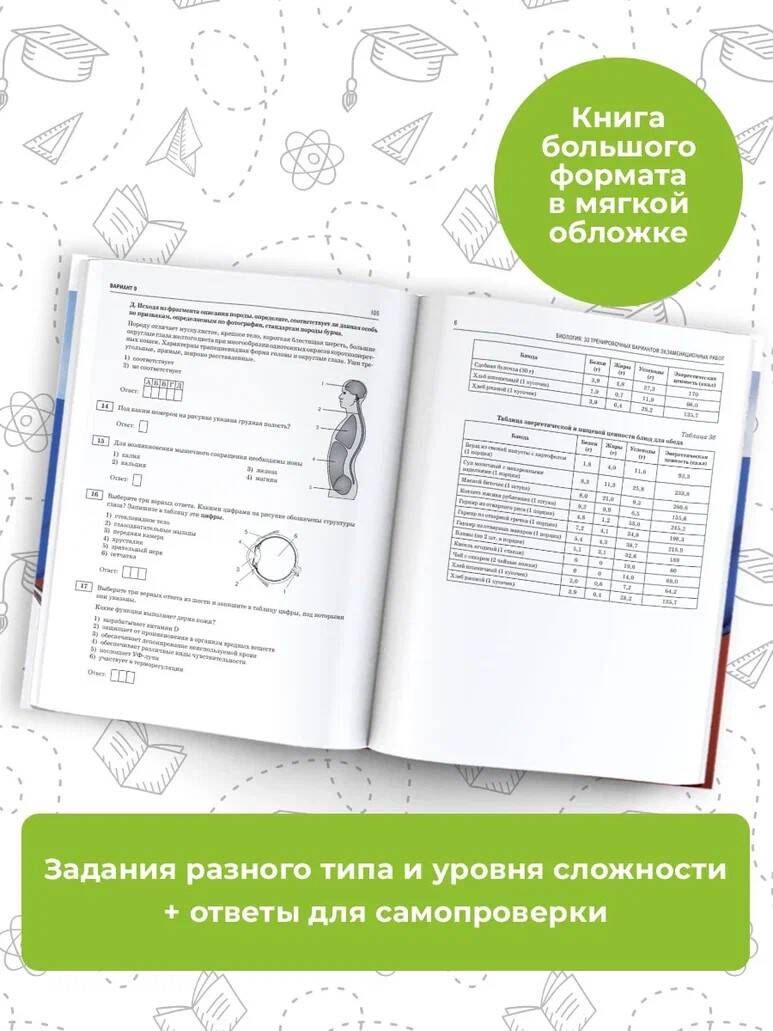 ОГЭ-2024. Биология. 30 тренировочных вариантов экзаменационных работ -  купить книги для подготовки к ОГЭ в интернет-магазинах, цены на Мегамаркет  | 978-5-17-154840-7