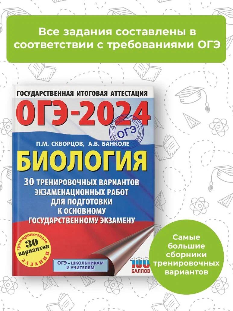 ОГЭ-2024. Биология. 30 тренировочных вариантов экзаменационных работ -  купить книги для подготовки к ОГЭ в интернет-магазинах, цены на Мегамаркет  | 978-5-17-154840-7