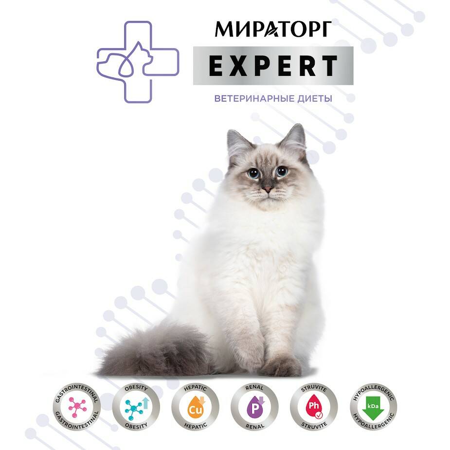 Сухой корм для взрослых кошек Мираторг EXPERT, 1,5 кг - отзывы покупателей  на маркетплейсе Мегамаркет | Артикул товара:600009242365