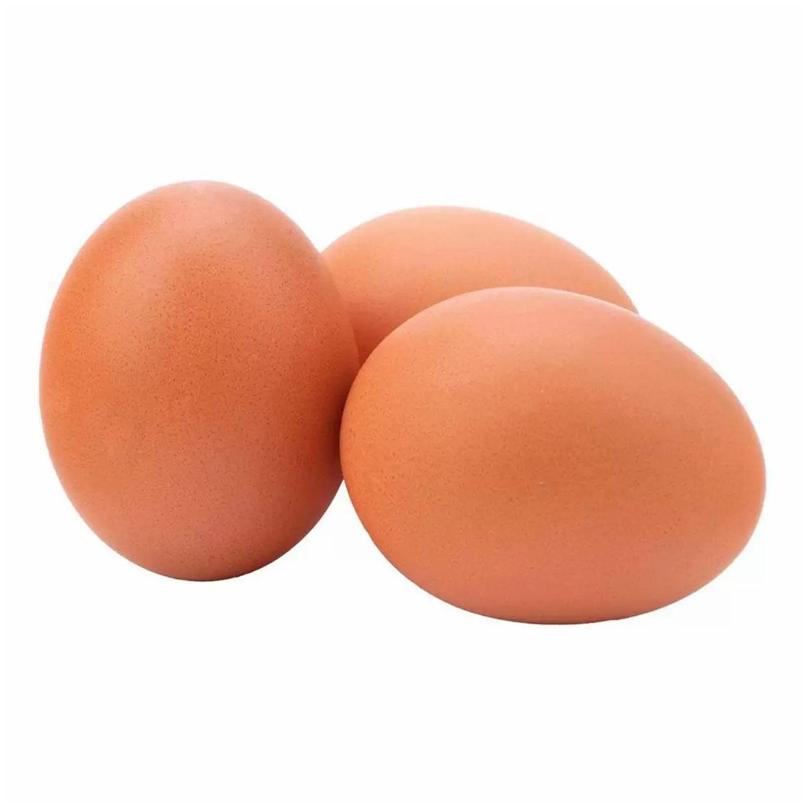 1 шт 3 куриное. Яйцо. Яйцо куриное. Яйцо на белом фоне. Яйцо куриное на белом фоне.