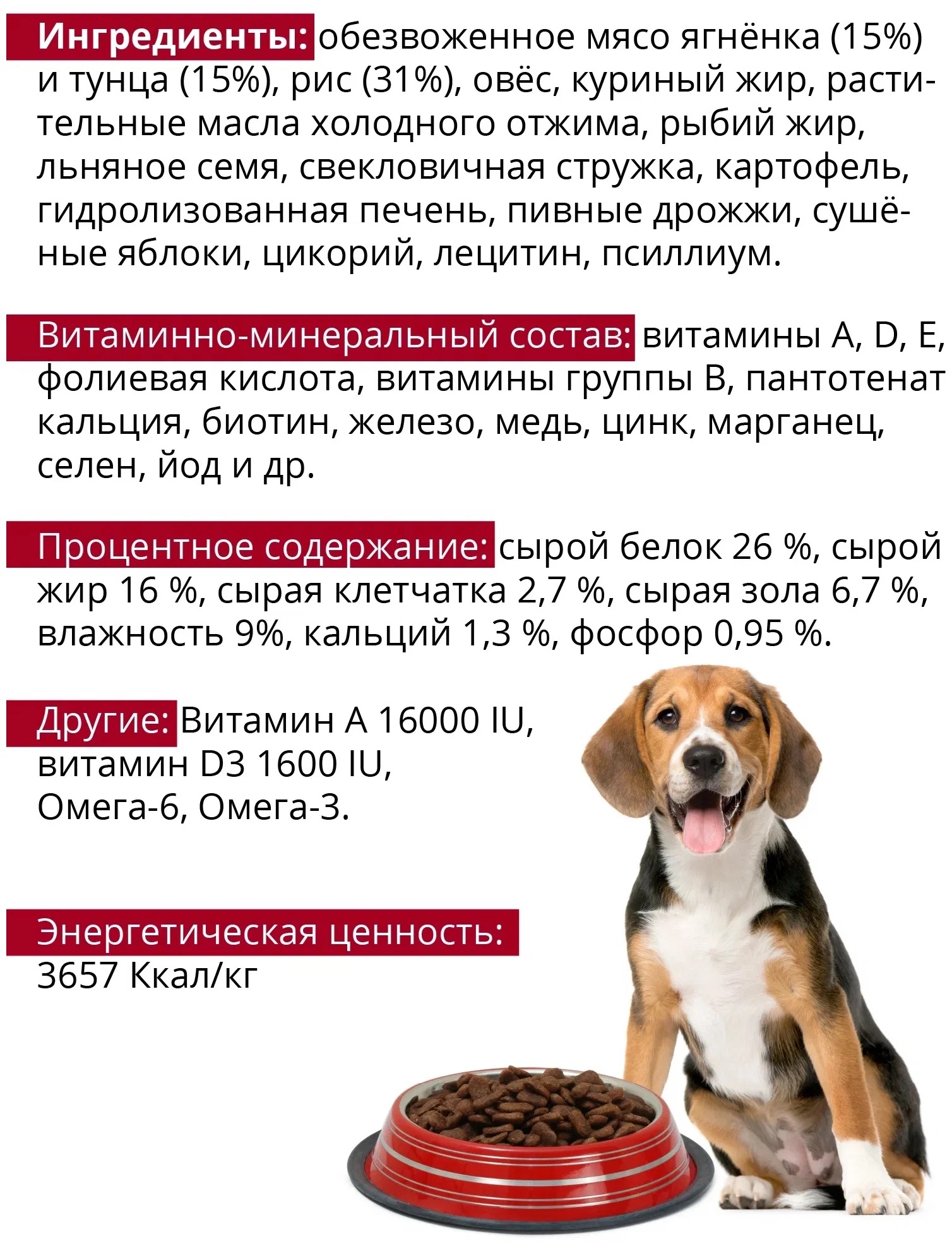 Сухой корм для собак GINA Dog 24 Adult, ягненок, рис, 3кг - отзывы  покупателей на Мегамаркет