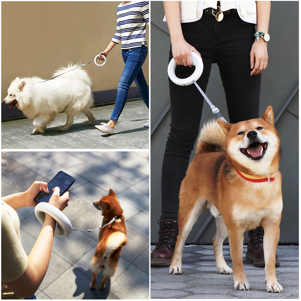 Moestar best sale dog leash