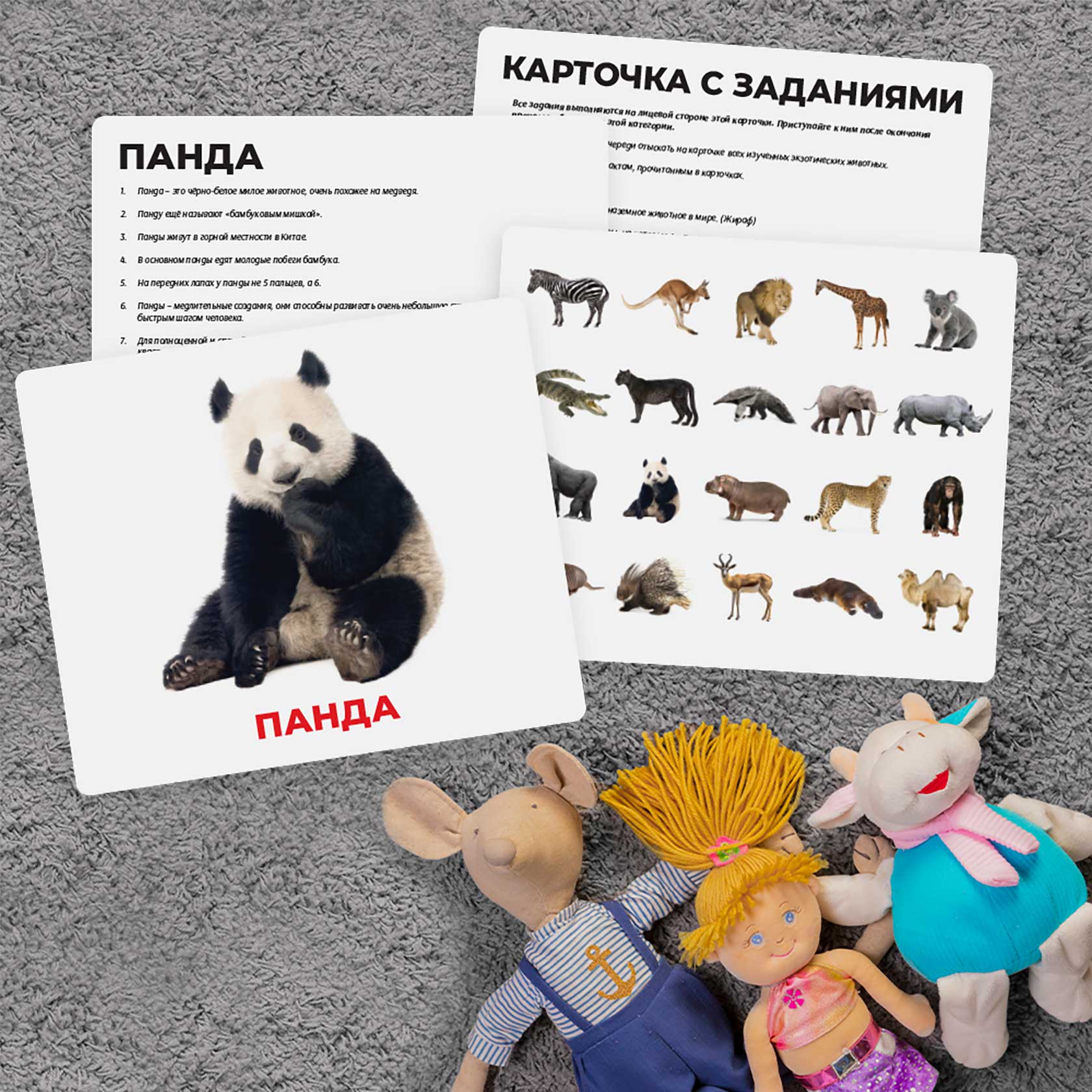 Набор развивающих карточек Unique Toys Экзотические животные – купить в  Москве, цены в интернет-магазинах на Мегамаркет