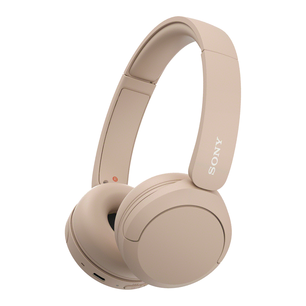  Sony WH CH520 