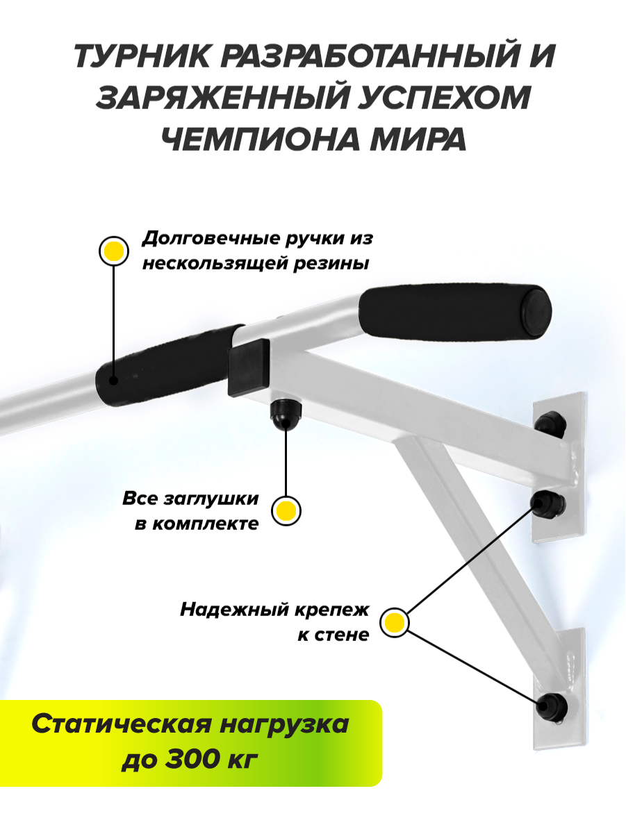 Турник настенный Aktiv Absolute Champion АЧ 8539 - купить в Москве, цены на  Мегамаркет | 600006313301