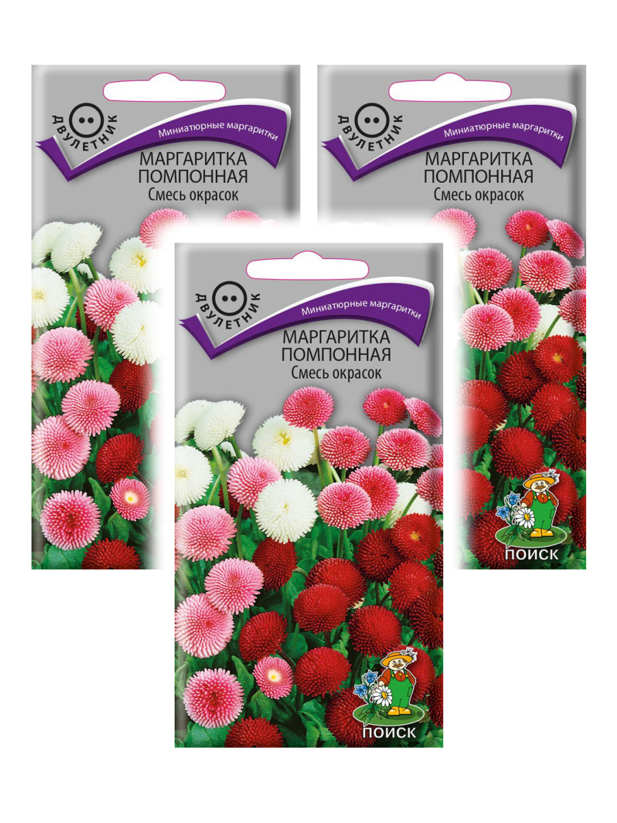 Маргаритки Семена Купить