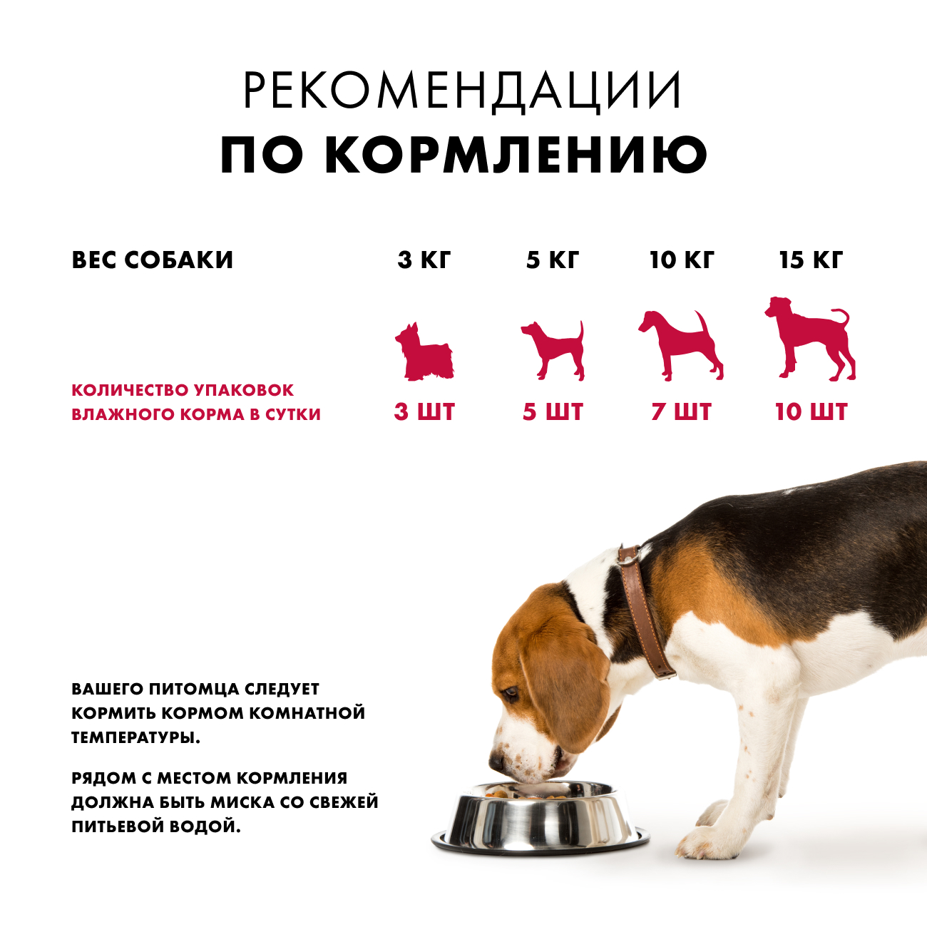 Влажный корм для собак Nutro Holistic беззерновой, говядина, томаты, 24шт по 85г
