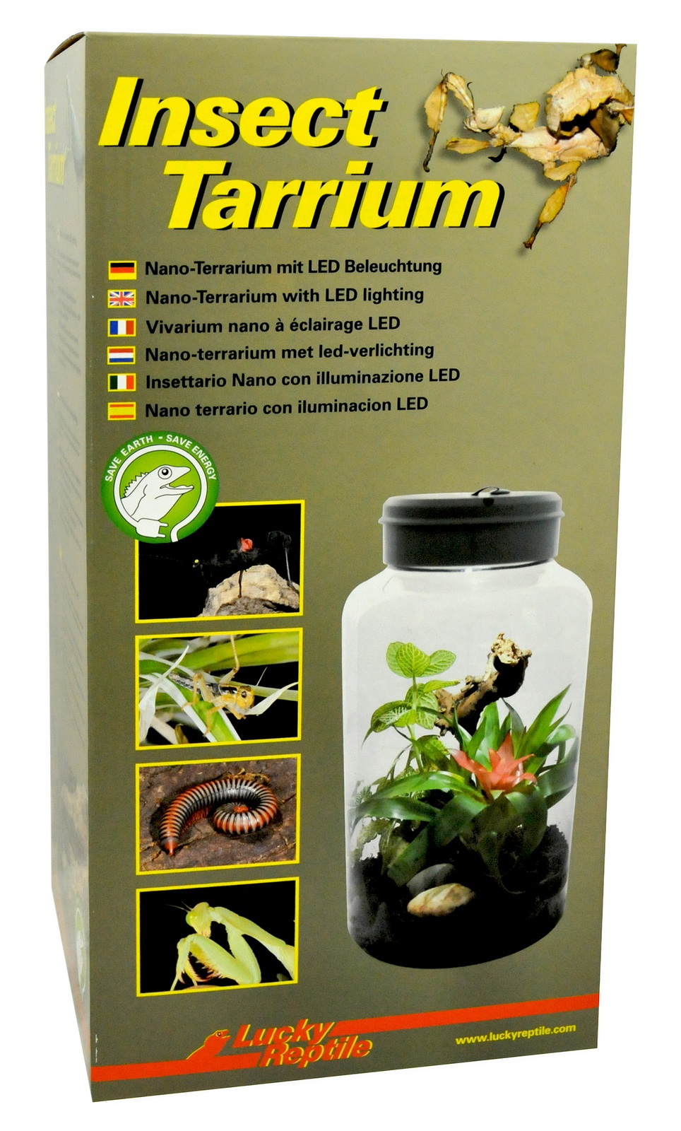 Инсектариум для насекомых Lucky Reptile Insect Tarrium 5л, 15 x 25 x 15 см  - купить на Мегамаркет