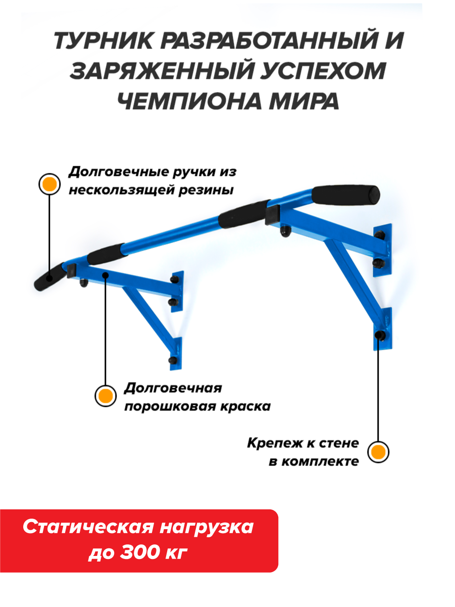 Турник настенный Absolute Champion Aktiv разборный Aktiv АЧ 10106 синий -  купить в Москве, цены на Мегамаркет | 600009030456