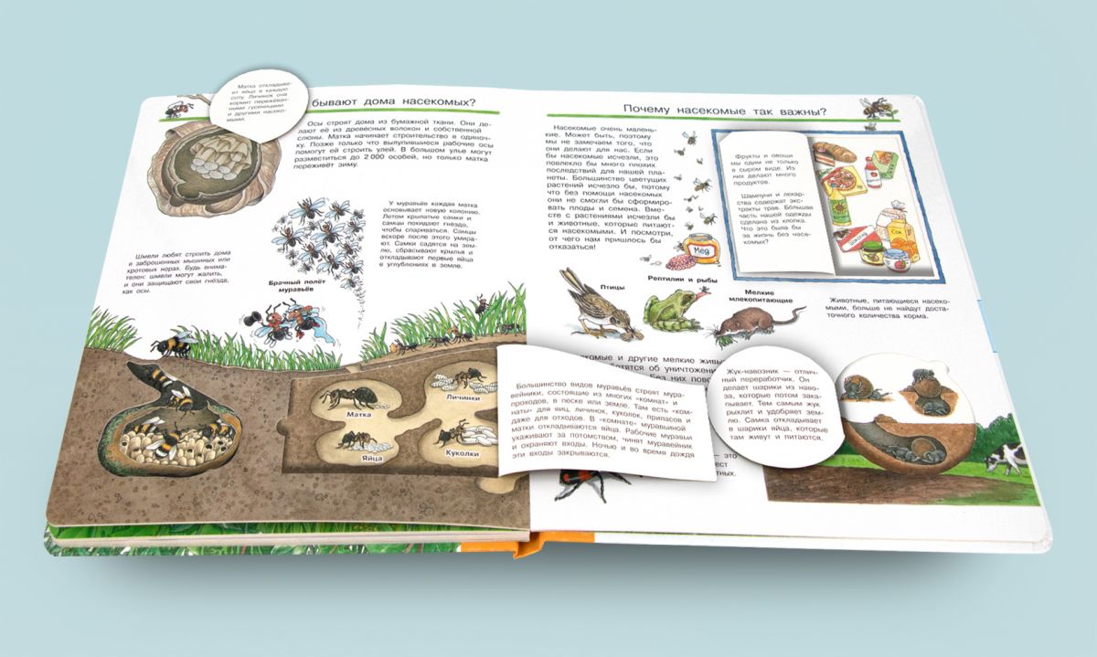 Что? Почему? Зачем? Всё о насекомых (с волшебными окошками) - отзывы  покупателей на маркетплейсе Мегамаркет | Артикул: 600004368260