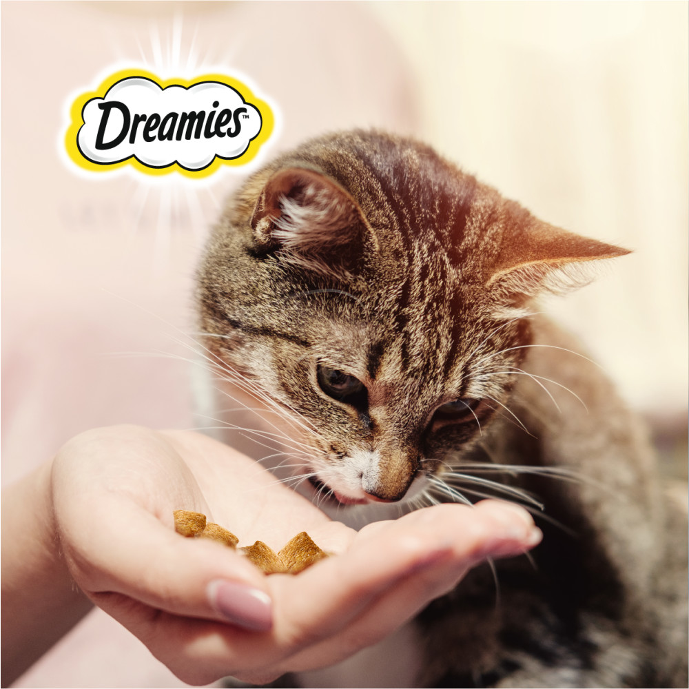 Лакомство для кошек Dreamies, Лакомые подушечки с сыром, 140г - отзывы  покупателей на маркетплейсе Мегамаркет | Артикул товара:100024002018