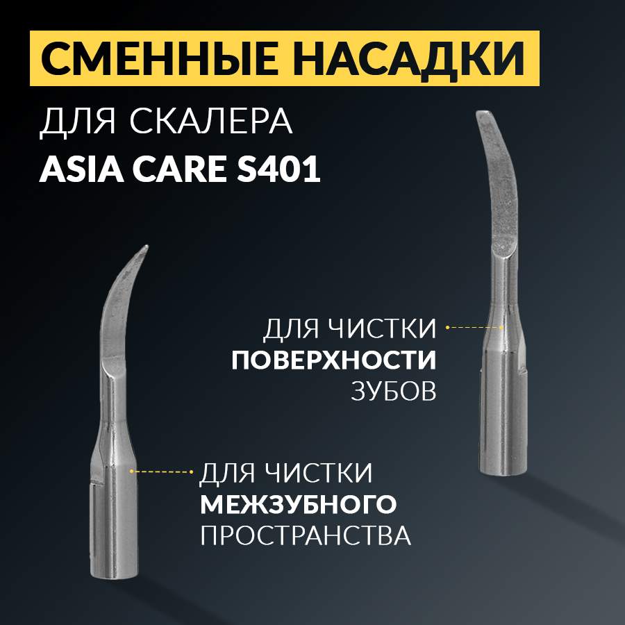 Скалер Asiacare S401 для зубов, белый - купить в интернет-магазинах, цены  на Мегамаркет | кюреты и скалеры стоматологические Asia_21