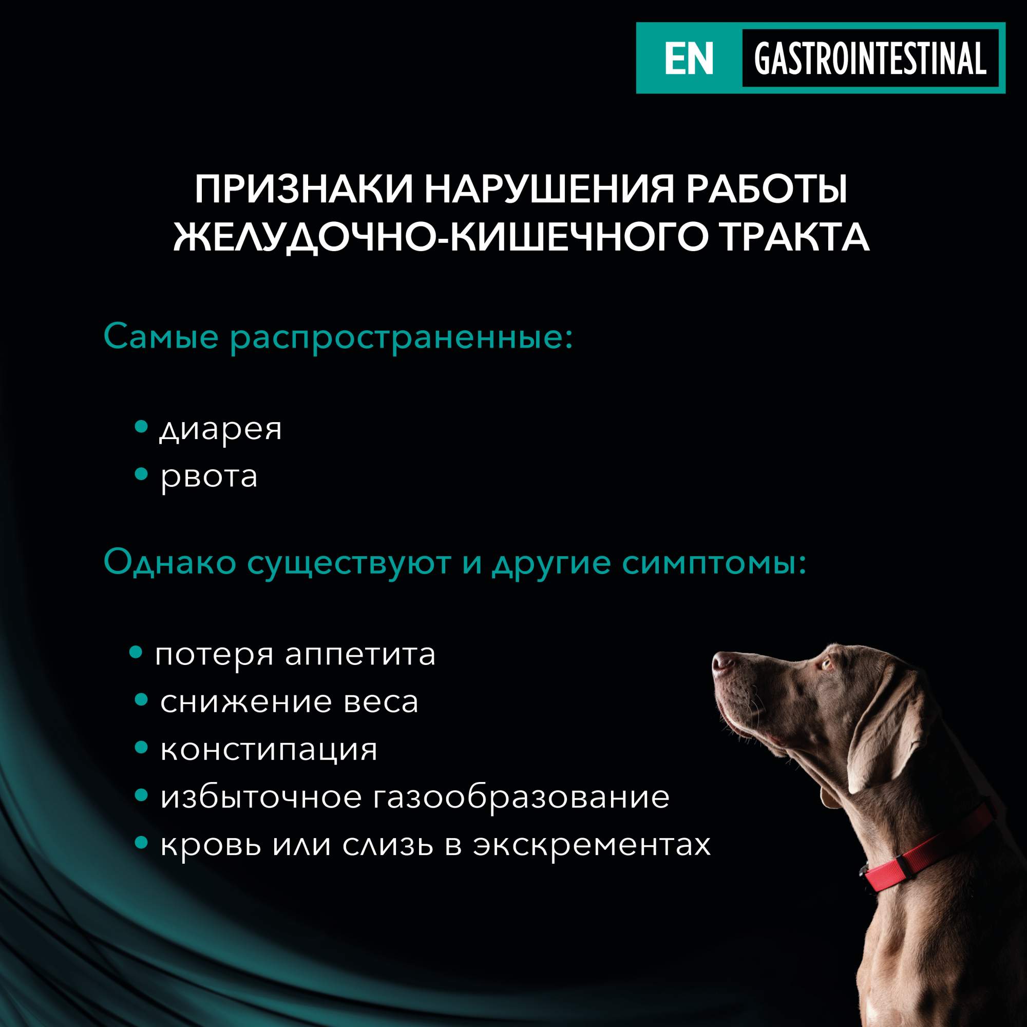 Корм pro plan gastrointestinal для собак. Pro Plan Veterinary Diets en Gastrointestinal для собак при расстройствах пищеварения, 400 г. Проплан Gastrointestinal для собак. En Purina Pro Plan Gastrointestinal для собак влажный. Пурина при заболеваниях ЖКТ У собак.