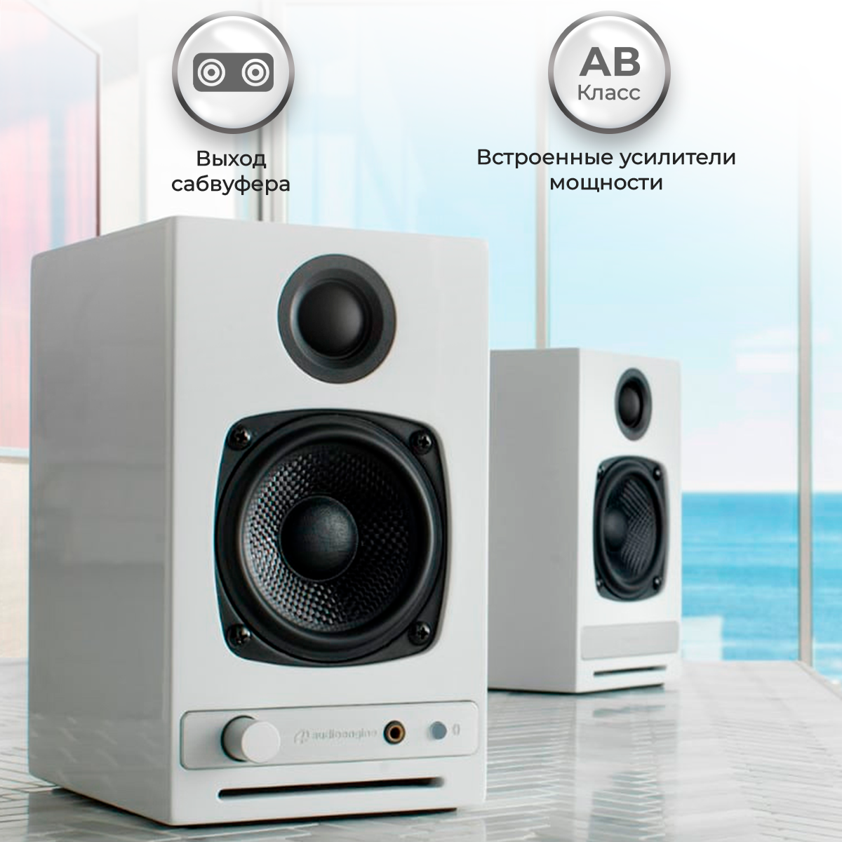 Портативная колонка Audioengine HD6 White, купить в Москве, цены в  интернет-магазинах на Мегамаркет