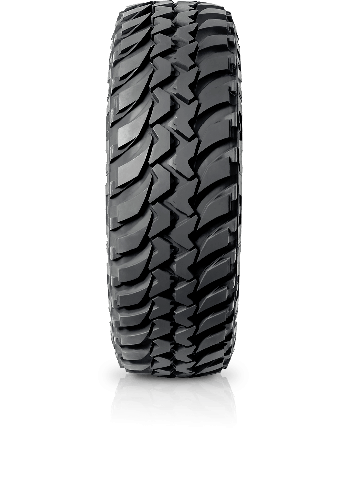 Шины bridgestone dueler m t 674