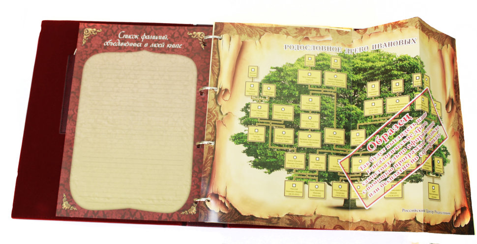 Родословная Книга Купить Читай Город