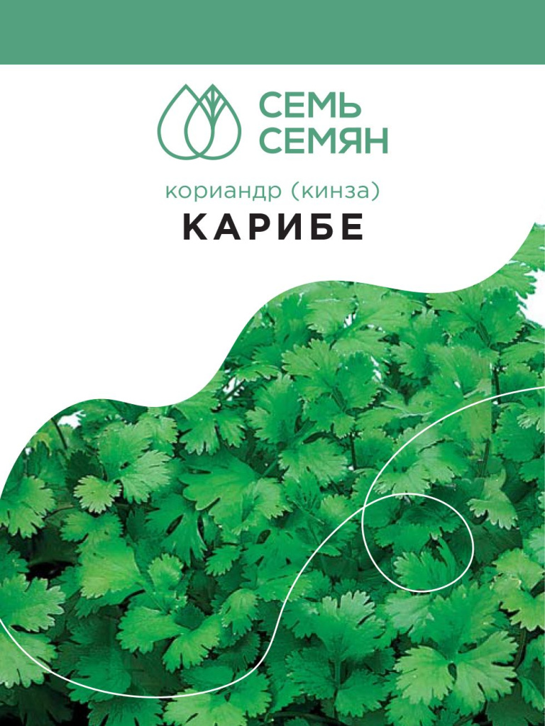 Семь семян отзывы. Кориандр Карибе. Кориандр овощной Карибе. Семена кориандр Карибе. Семь семян интернет магазин.