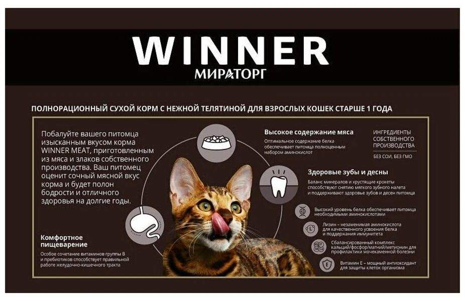 Winner meat корм. Винер мит корм для кошек. Корм winner meat для кошек. Мираторг кошачий корм winner. Корм сухой winner meat для взрослых кошек с телятиной, 750г.