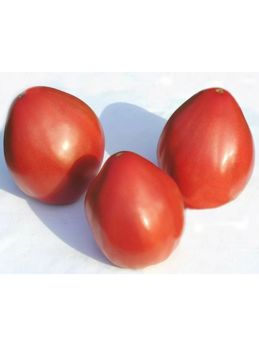 Томат орлиный клюв сибирский сад. Помидора орлиный клюв сорт описание. Семена томат орлиный клюв. Томат орлиное сердце 20шт сибирский сад (ц. Томат орлиный клюв сибирский сад.