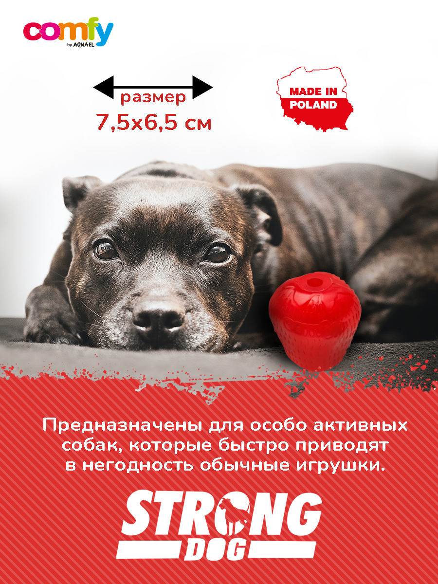 Купить игрушка для собак COMFY STRONG DOG STRAWBERRY Клубника, красный, 7.5  х 6.5 см, цены на Мегамаркет | Артикул: 600012168073