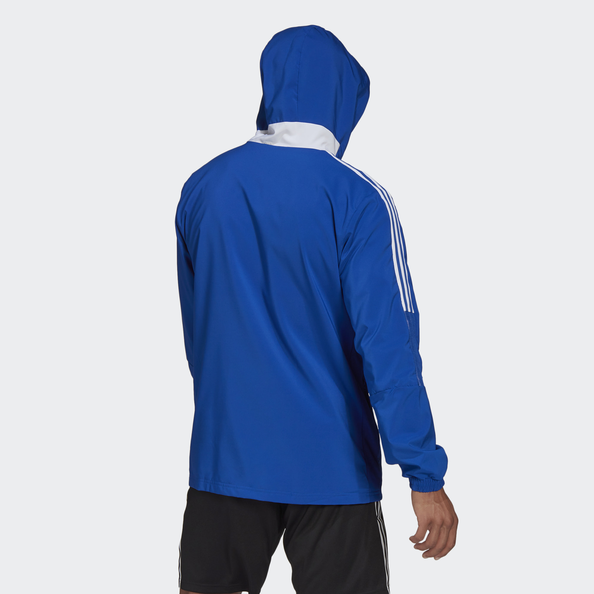 Спортивная ветровка мужская Adidas GP4963 синяя XL