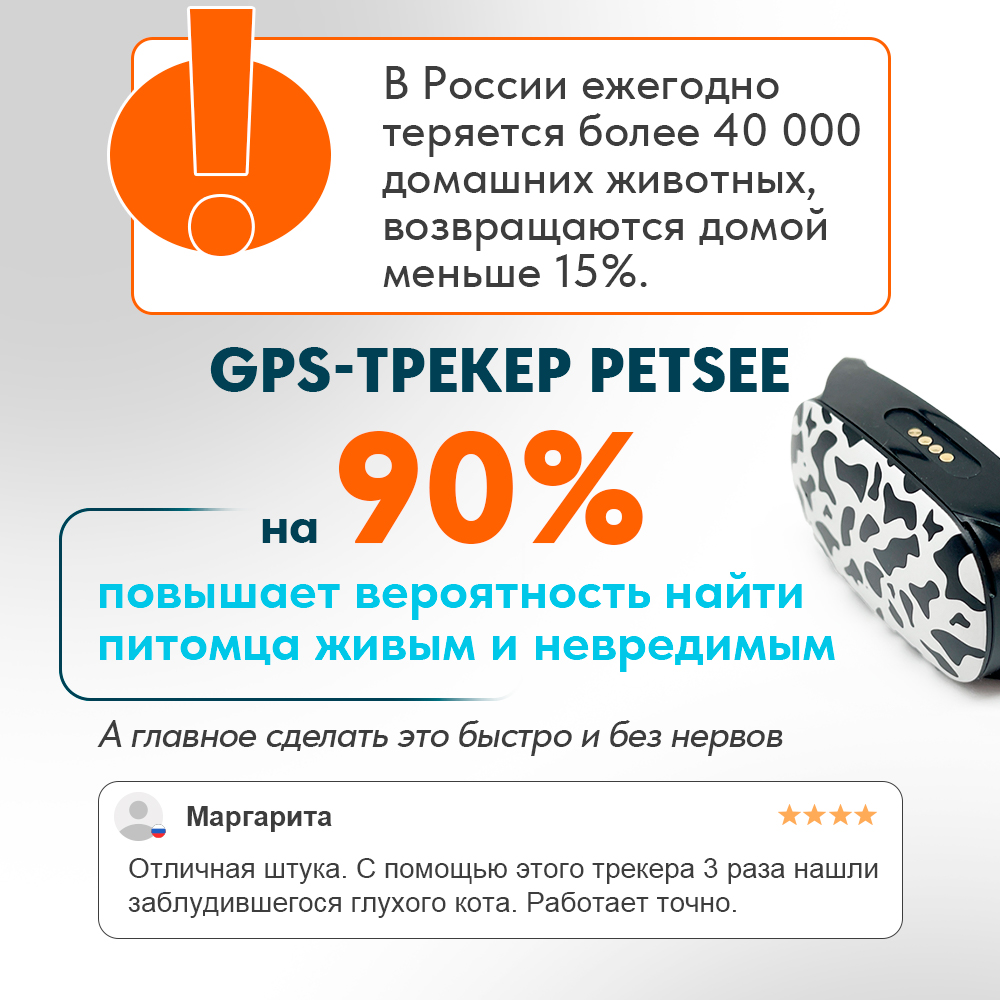 Купить ошейник для животных Petsee 4G Cats с GPS, черный, оранжевый, 10-50  см, цены на Мегамаркет | Артикул: 600012618812