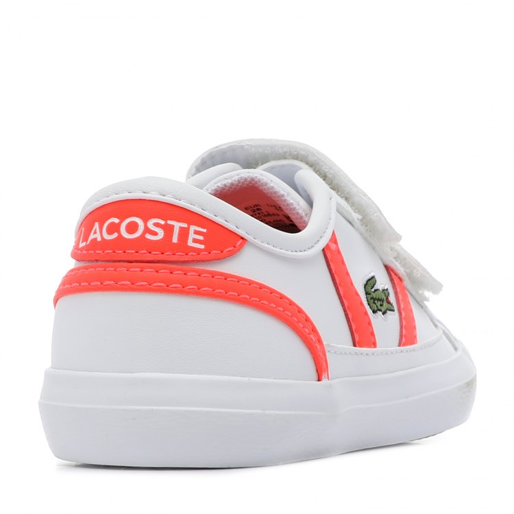 Кроссовки Lacoste Купить В Спб