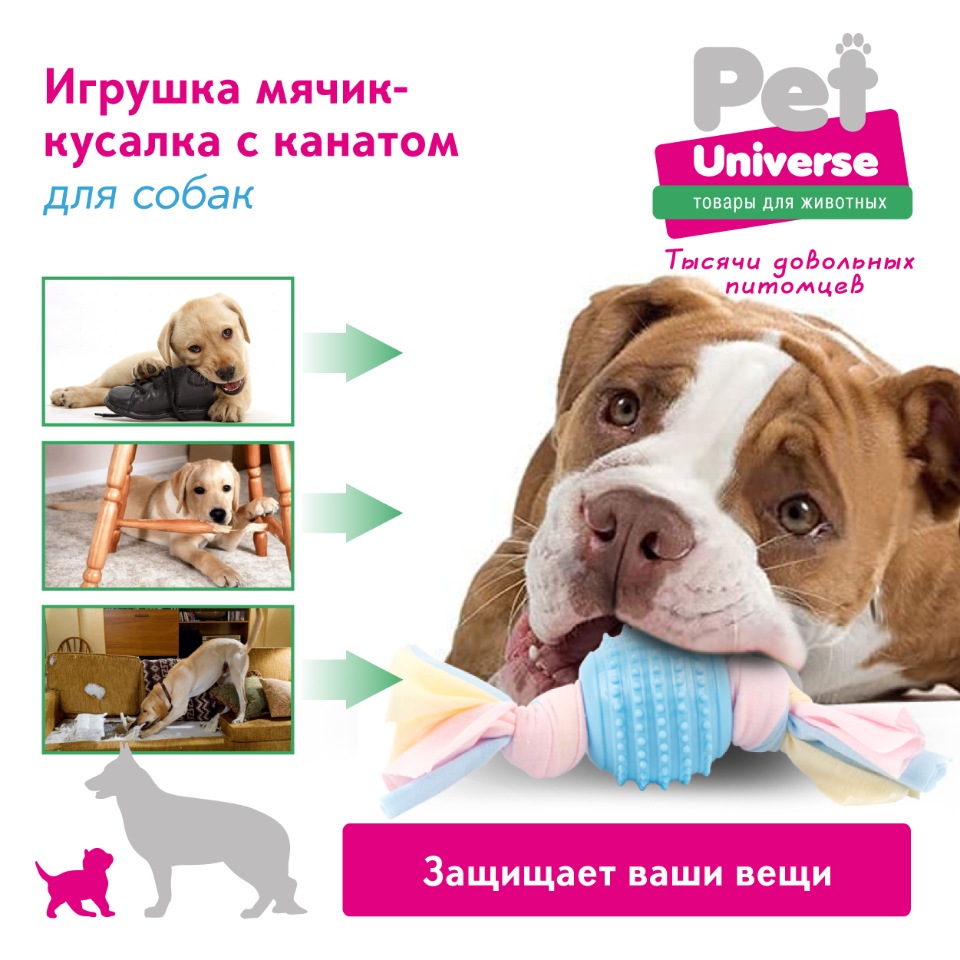 Купить жевательная игрушка для собак Pet Universe, синий, 20 см, 1 шт, цены  на Мегамаркет | Артикул: 600005628942