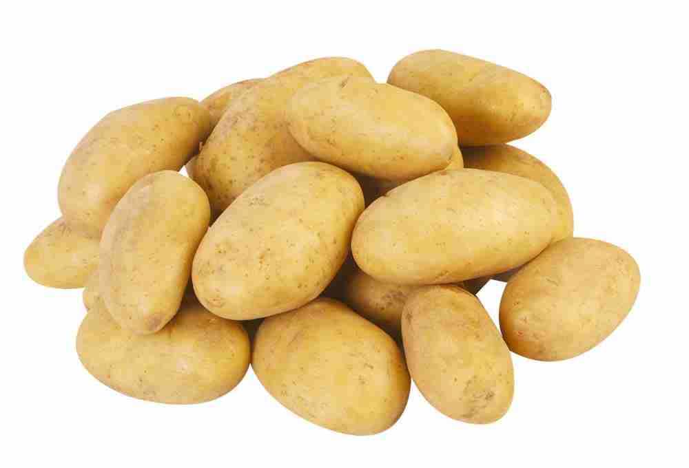 Купить картофель Лента Premium Фермерский белый +-1 кг, цены на Мегамаркет | Артикул: 100061466470