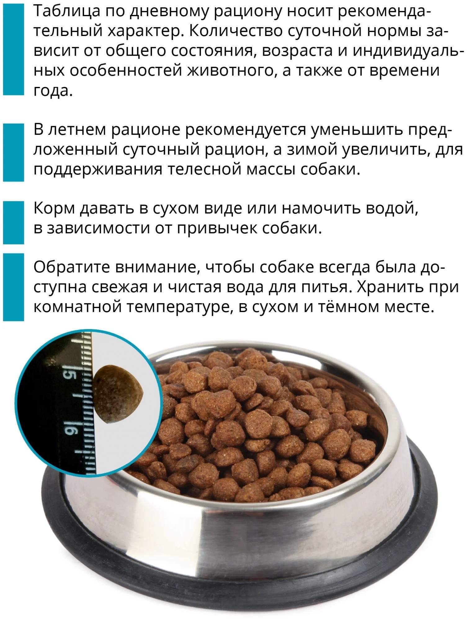 Как хранить сухой корм для собак. Гипоаллергенный корм для собак.