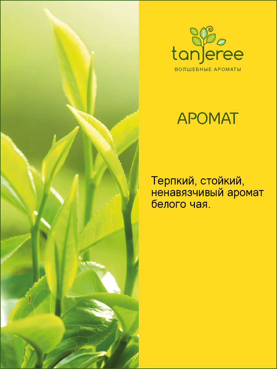 Жидкость для диффузора с палочками Tanjeree, аромамасло, аромо рефил Белый  Чай, 110 мл. - отзывы покупателей на Мегамаркет | 600006198727