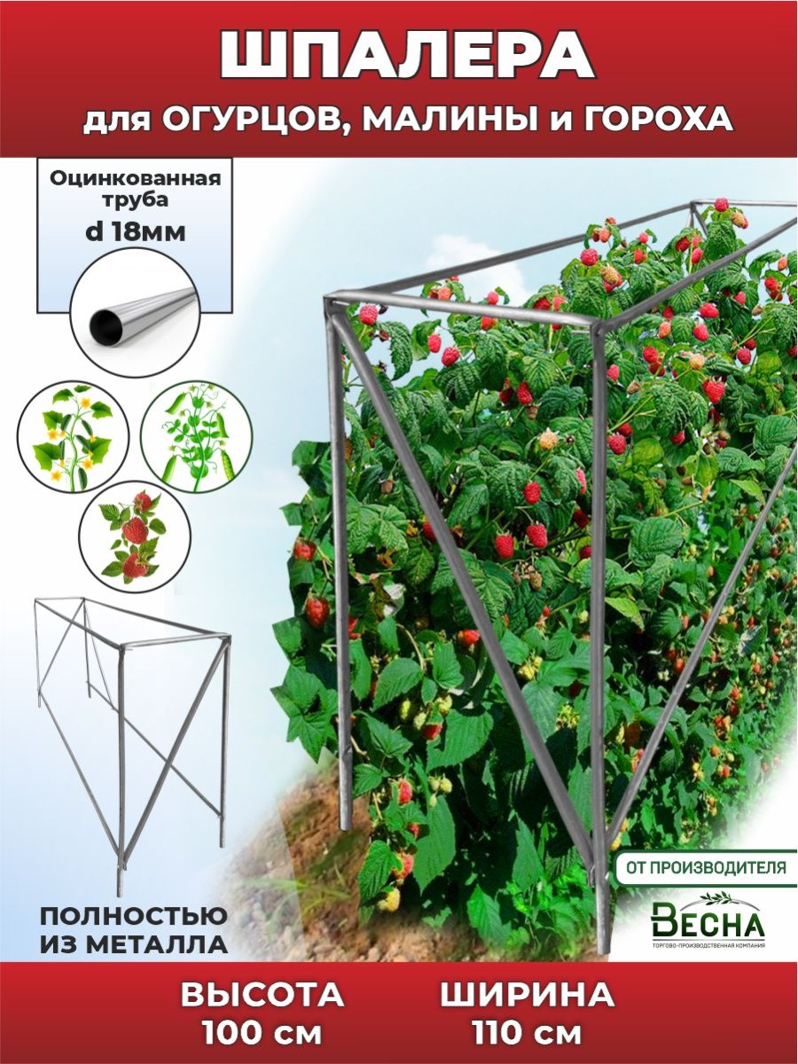 Шпалера садовая ТПК Весна для малины, гороха и вьющихся растений 100 см - купить в Москве, цены на Мегамаркет | 600012616065