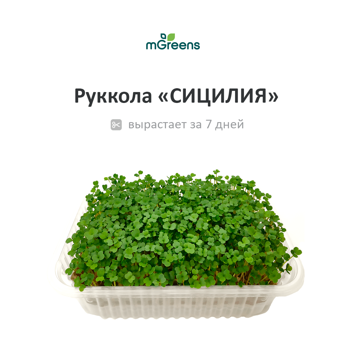 Микрозелень Кресс руккола