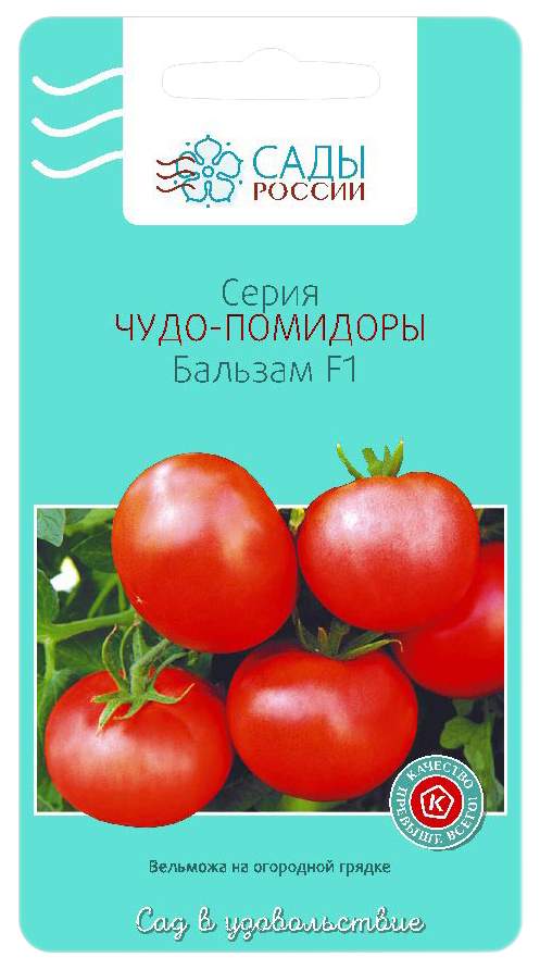 Томат балтийский берег. Томат бальзам. Томат чудо бальзам. Томаты чудо России.